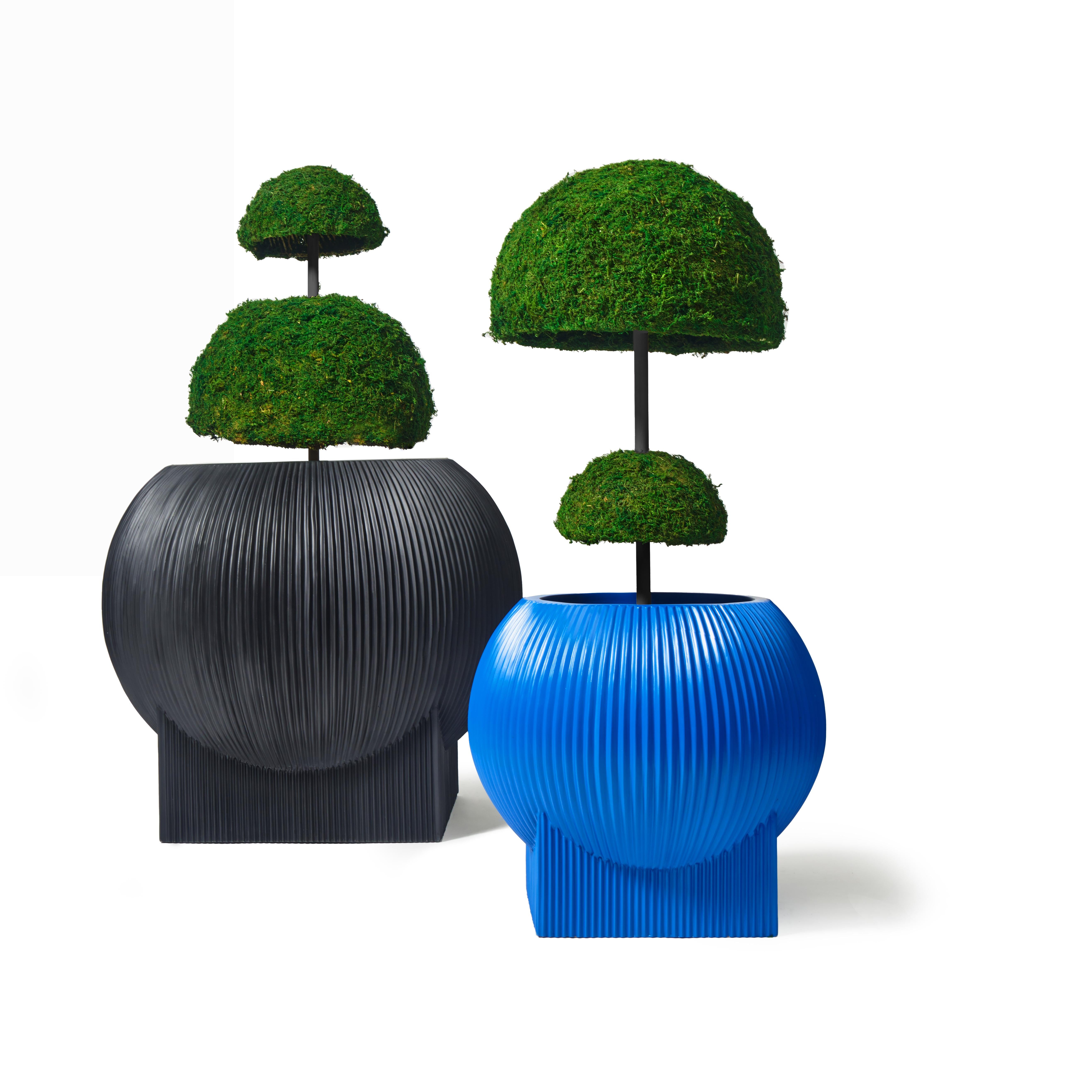 Mexican Standard Flat Blob Planter 'Black' by TFM, Represented by Tuleste Factory