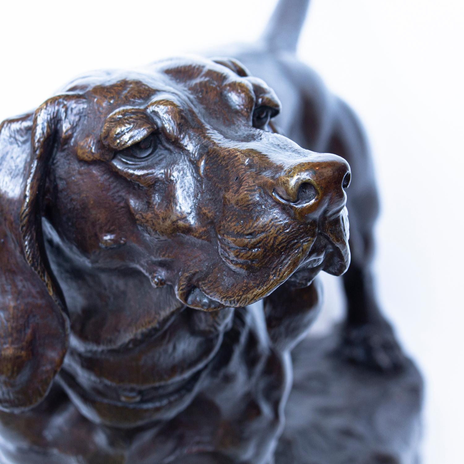 A large bronze study of a Basset Hound with impressive detail and a rich patina. The study is raised on a naturalistic base and signed 'J Moigniez'.

Artist: J Moigniez (1835-1894)

Literature: 'Les Animaliers' by Jane Horswell

Origin: