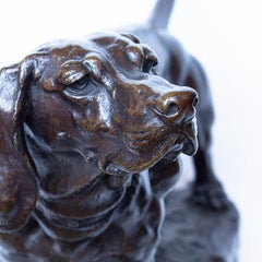 "Standing Basset", French, Bronze Hound Study Signed by J Moigniez