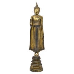 Standing Buddha, Thailand