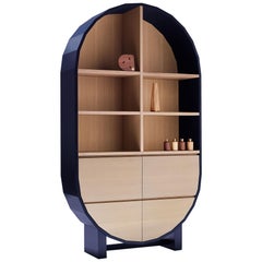 Contemporary White Oak/Blue Painted frame Standing Cabinet - POLYNET Cabinet