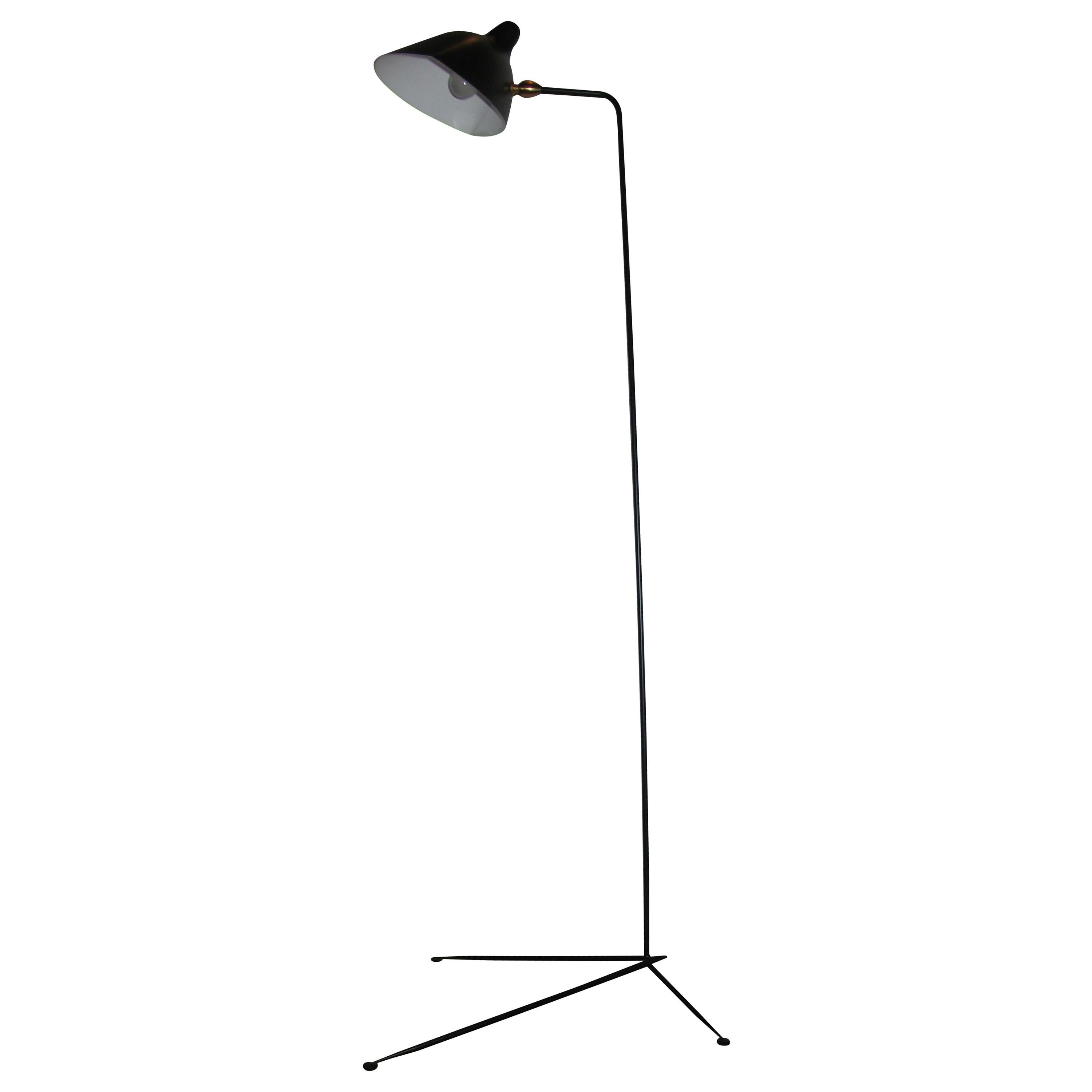 Standing One-Arm Lamp by Serge Mouille