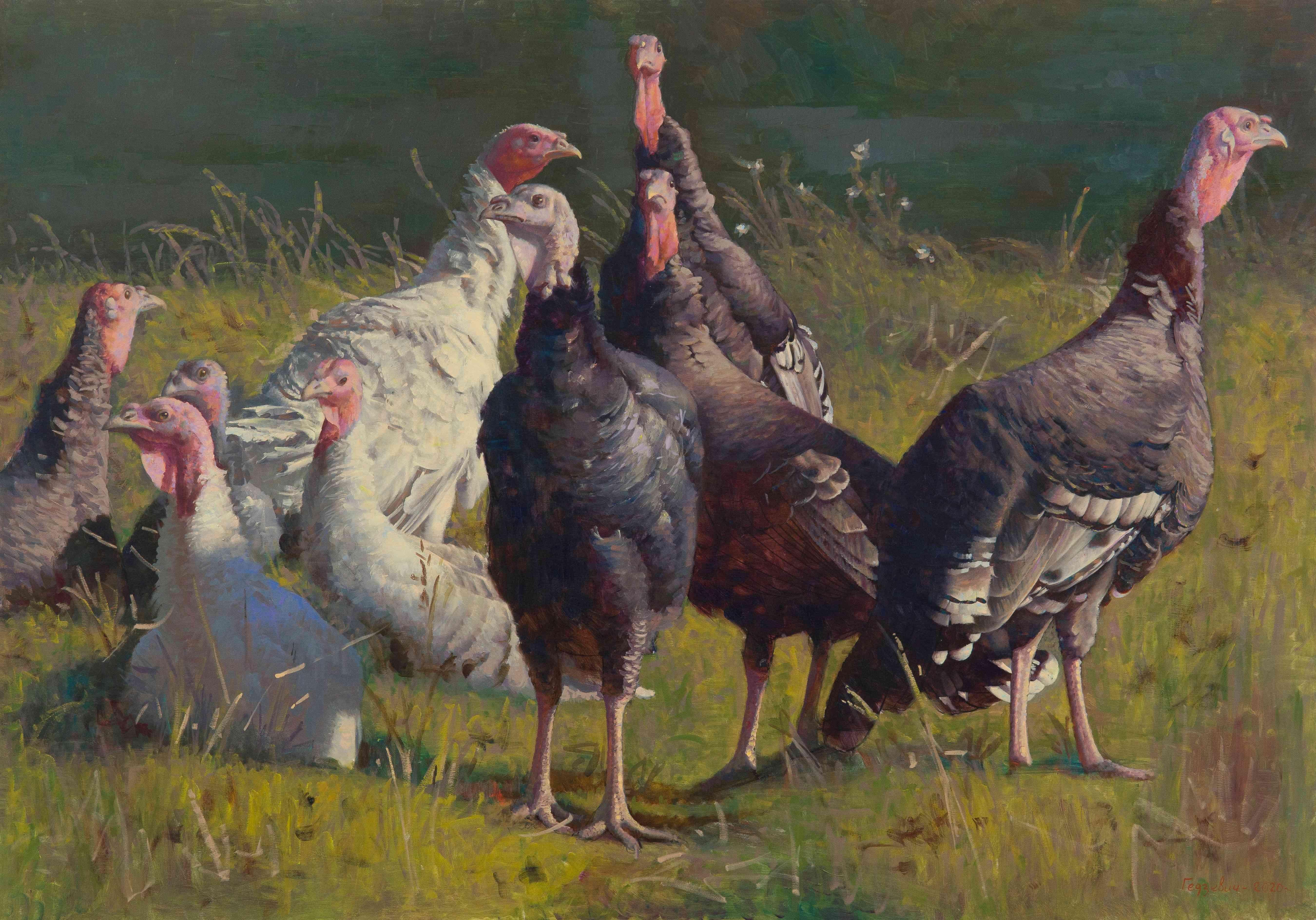 Stanislav Gedzevich  Animal Painting - Turkeys - Animal Oil Painting Colors Yellow Green Brown Blue White Red Pink 