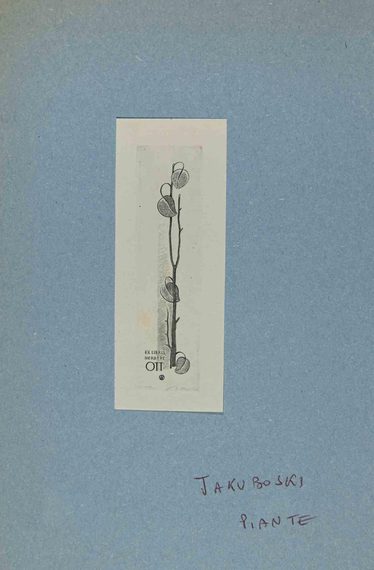 Ex Libris - Herbert Ott ist ein Kunstwerk des polnischen Künstlers Stanislaw Jakubowski (1885-1964) aus den 1950er Jahren. 

Radierungsdruck auf Elfenbeinpapier. Handsigniert auf der Rückseite.

Das Werk ist auf farbigen Karton geklebt.

Abmessungen