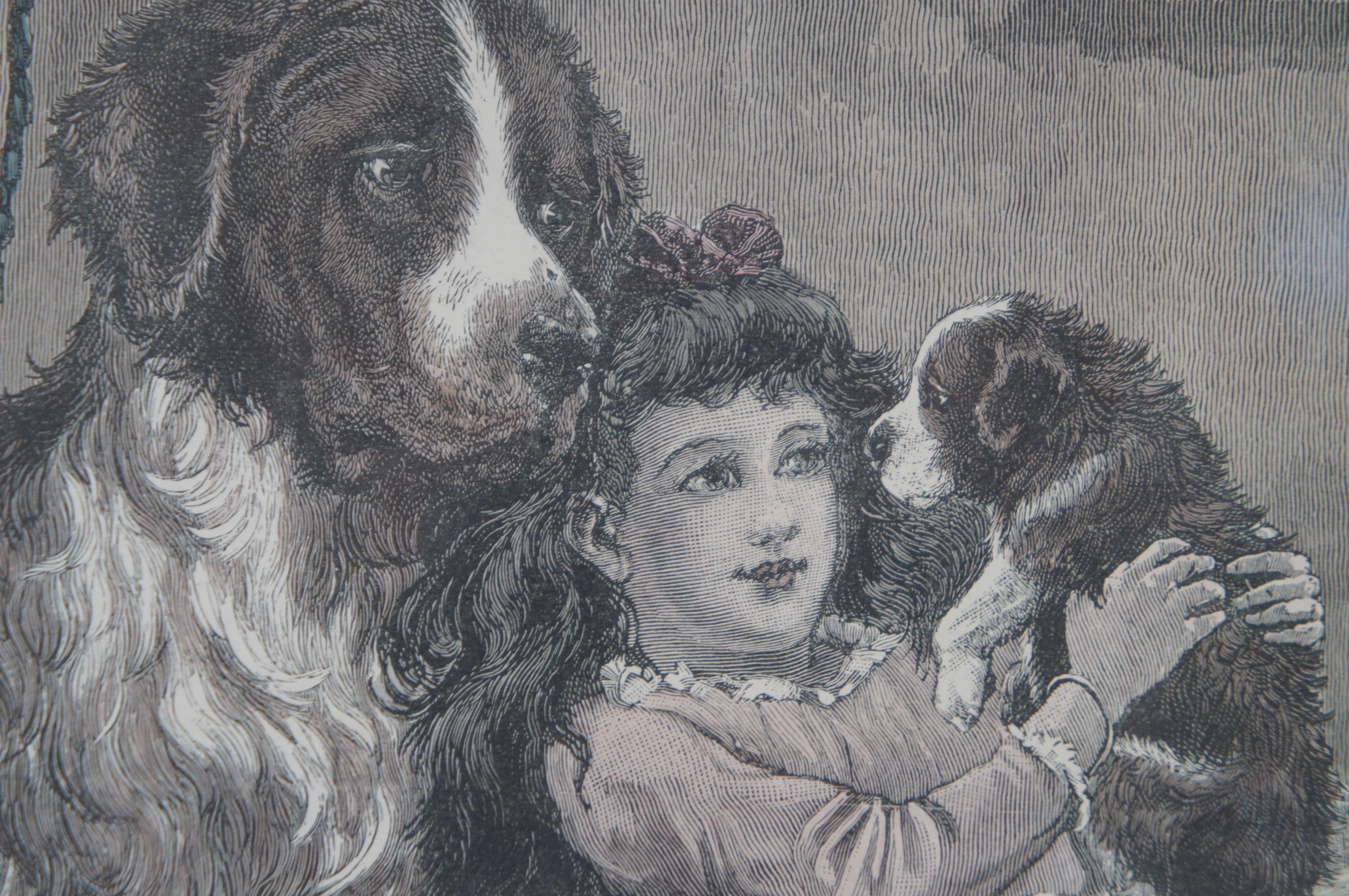Stanley Berkely London News Privileged Visitor St Bernard Girl Dog Engraving 21