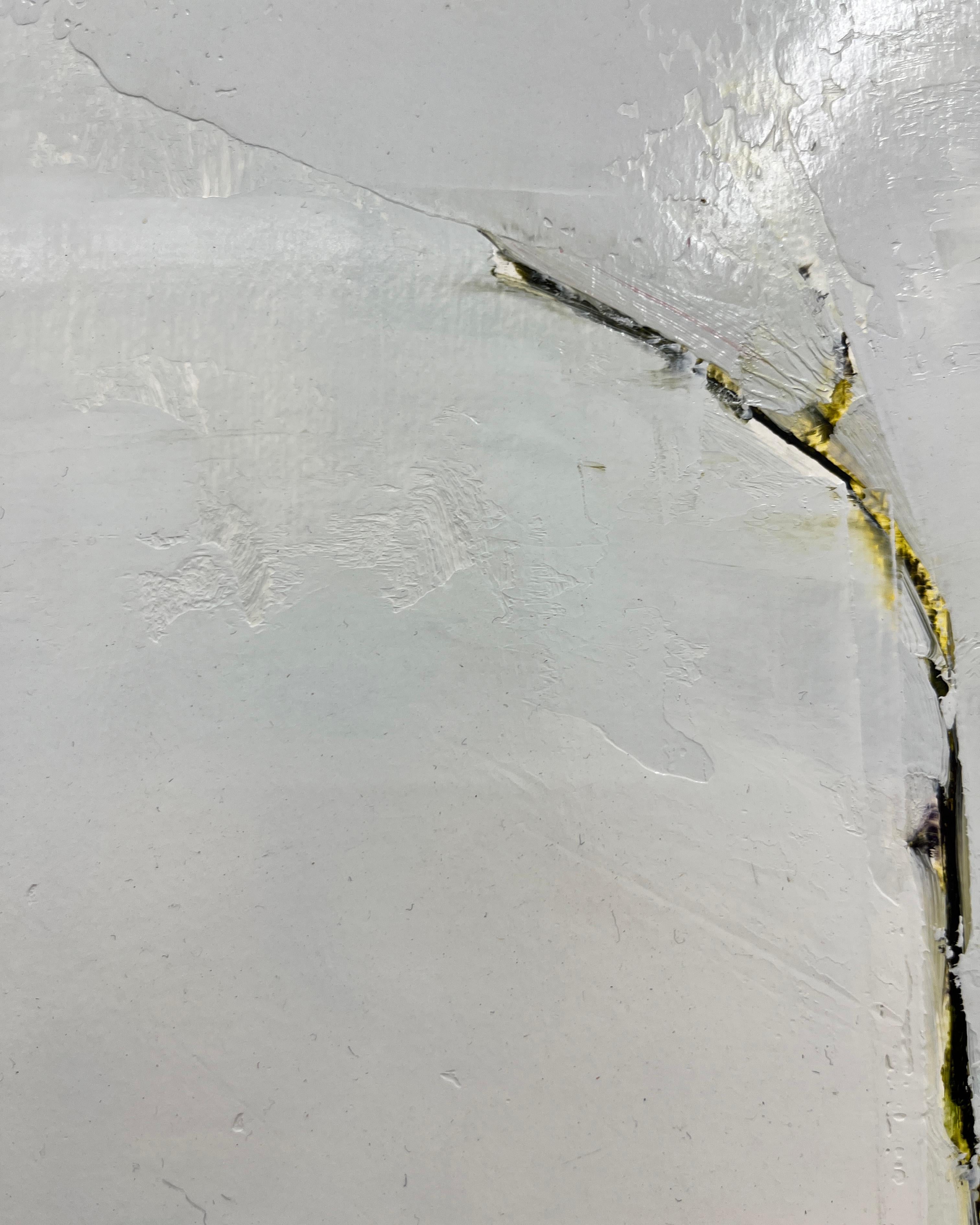 Stanley Bielen
Equinoccio, 2021
Óleo sobre papel/montado
15 x 21 in.
(bie086)

Los cuadros de Stanley Bielen suelen empezar con él plantando la flor que pretende plasmar en pintura. Lleva recortes de su jardín al estudio y combina su intensidad de