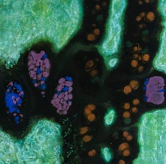 Le numéro 20 de 1954