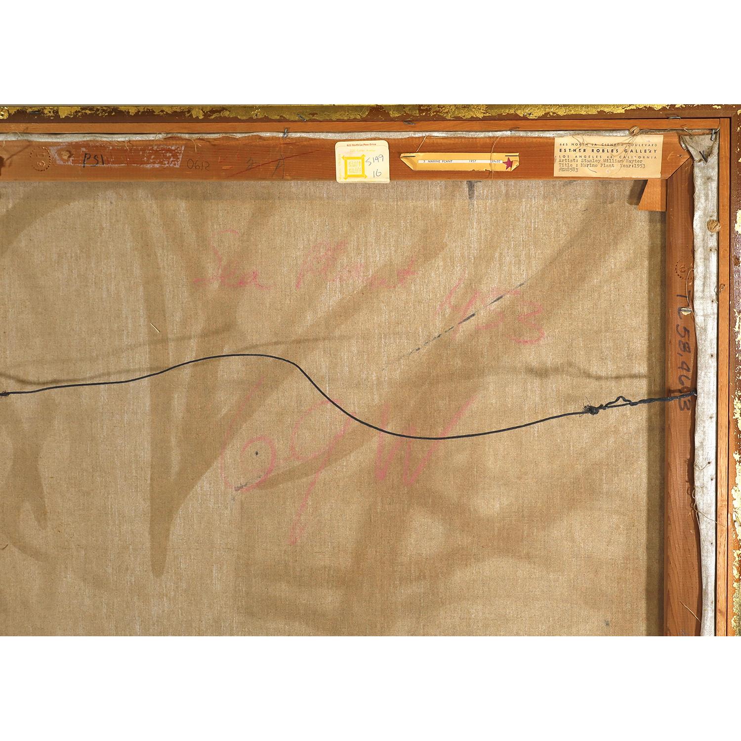 Meerespflanze (Beige), Abstract Painting, von Stanley William Hayter