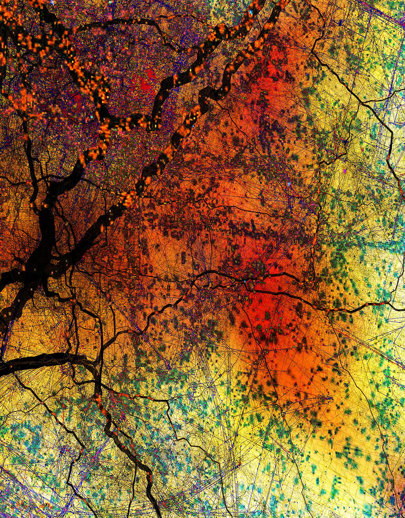 Burning Surface Tension - Pittura digitale d'arte astratta contemporanea Greene & Greene - Painting Astratto di Stanza