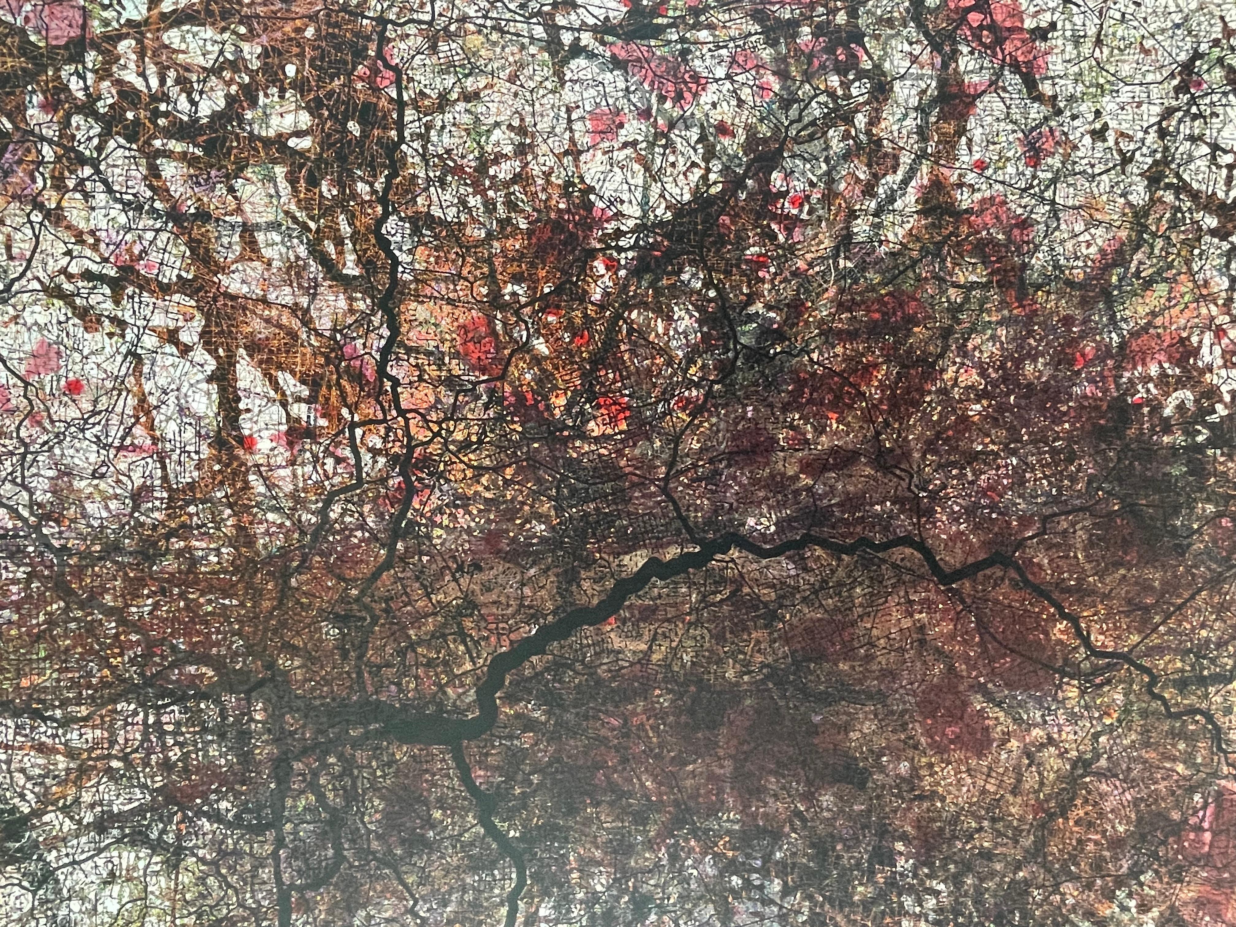 Je ne trouve pas mon chemin - Art abstrait contemporain Peinture numérique Rouge - Painting de Stanza