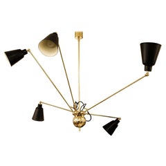 Star Five Modern Italian Design Ceiling Light Brass Structure Black Shades