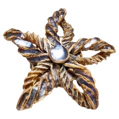Spilla Talosel a forma di stella di Line Vautrin, Francia / C.C.