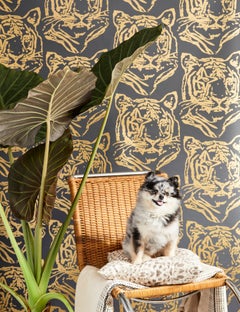 Star Tiger Designer Wallpaper in Eclipse 'Metallic Gold on Black'