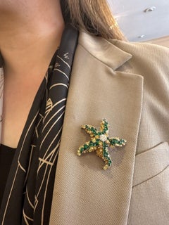 Starfish Pin with Diamond, Emeralds and Yellow Diamonds in 18k Yellow Gold