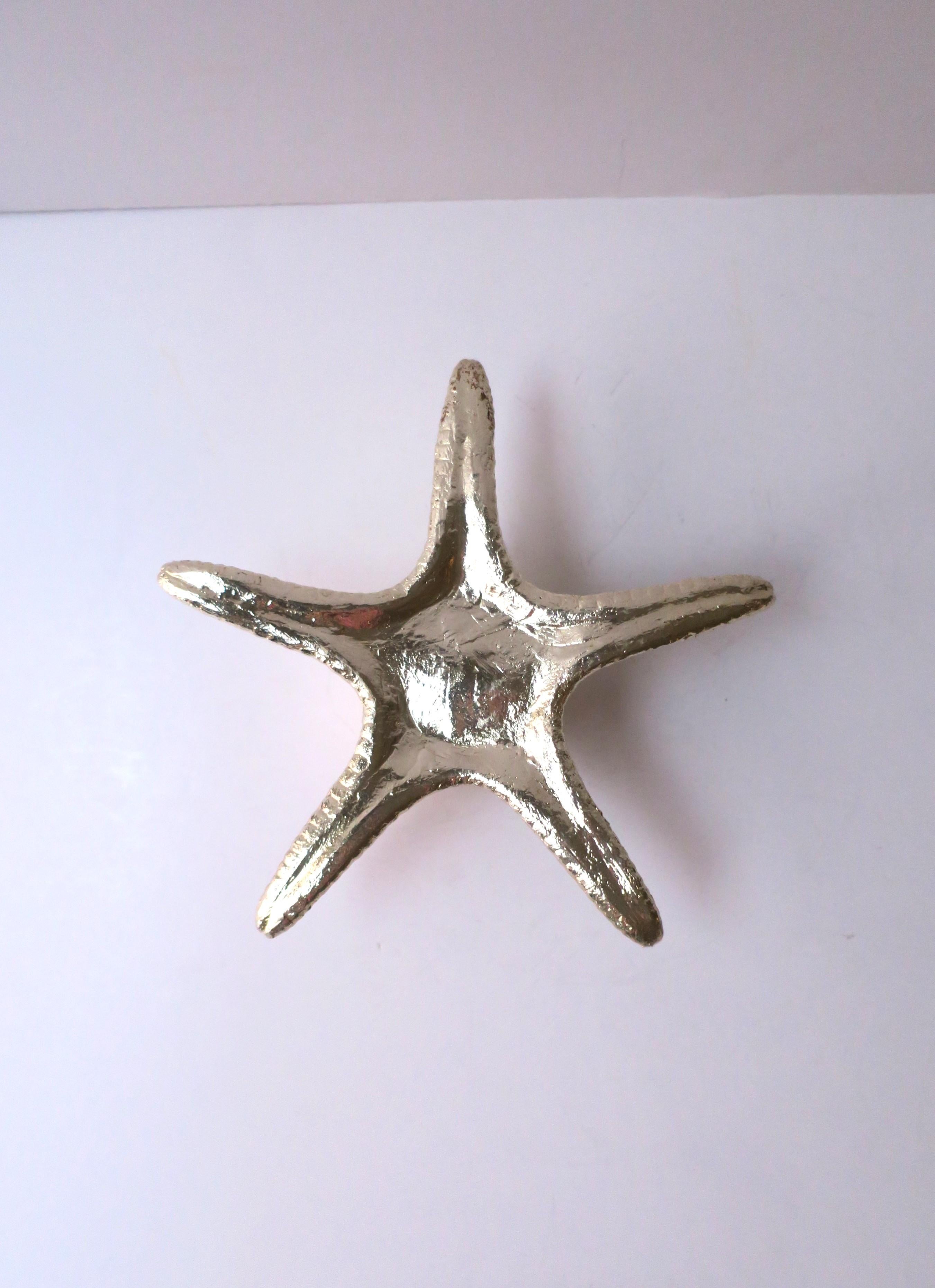 Starfish Seashell  For Sale 4