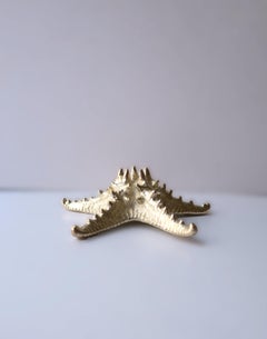 Starfish Seashell
