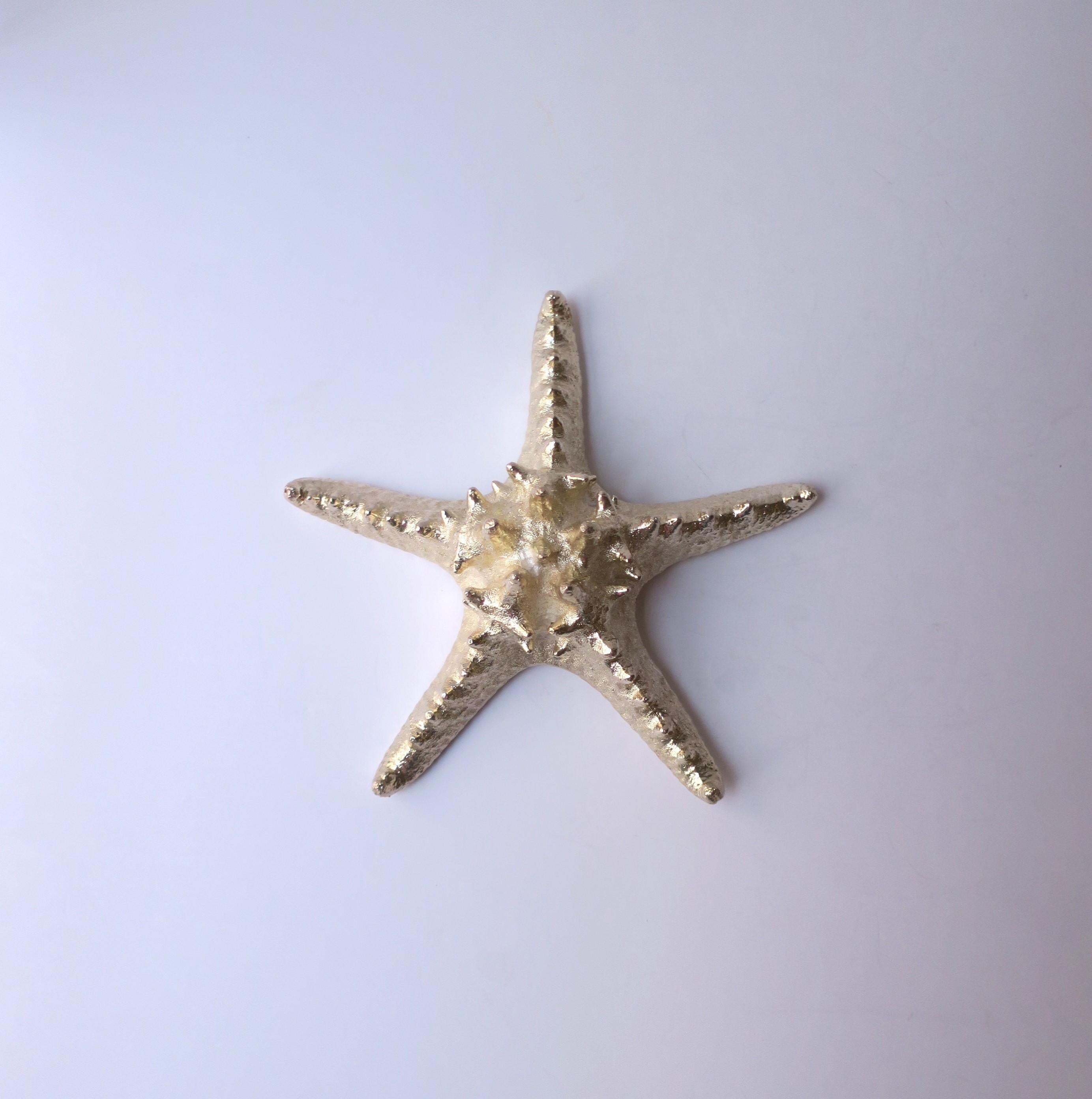 Starfish Seashell  For Sale 1