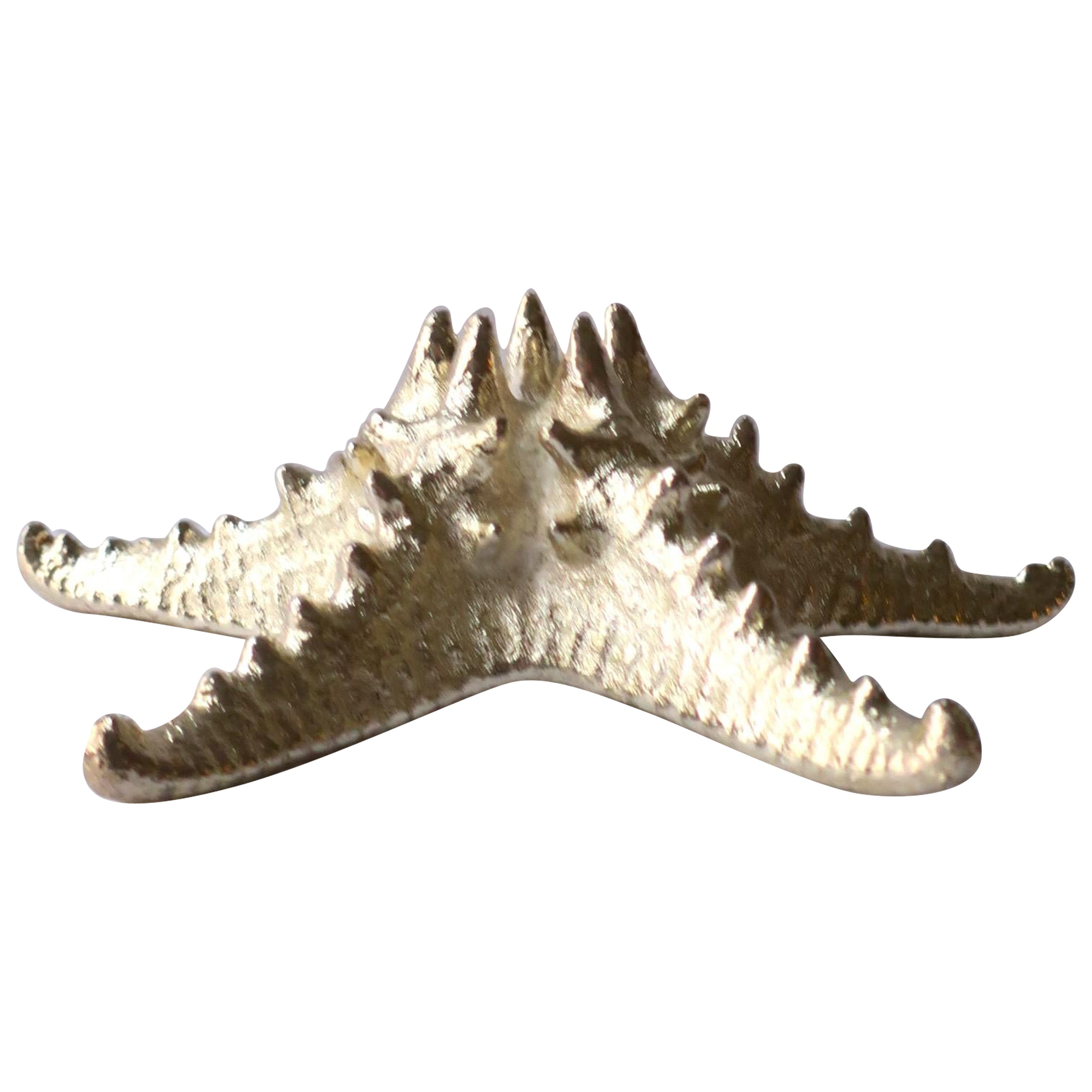 Starfish Seashell