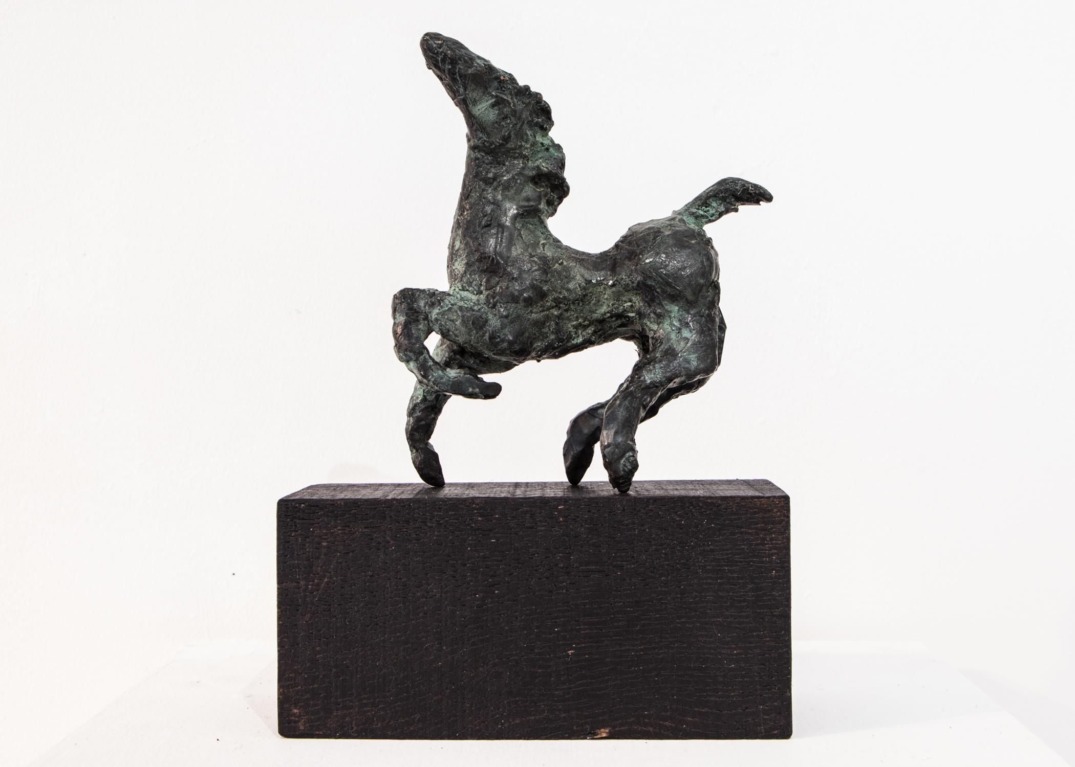 Using the lost wax technique, all Danuta's bronzes are one-off originals 
Freestanding. Rests on carbonised oak block 
