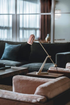 Stasis Table Light, Brass + Polished Copper by Bert Frank