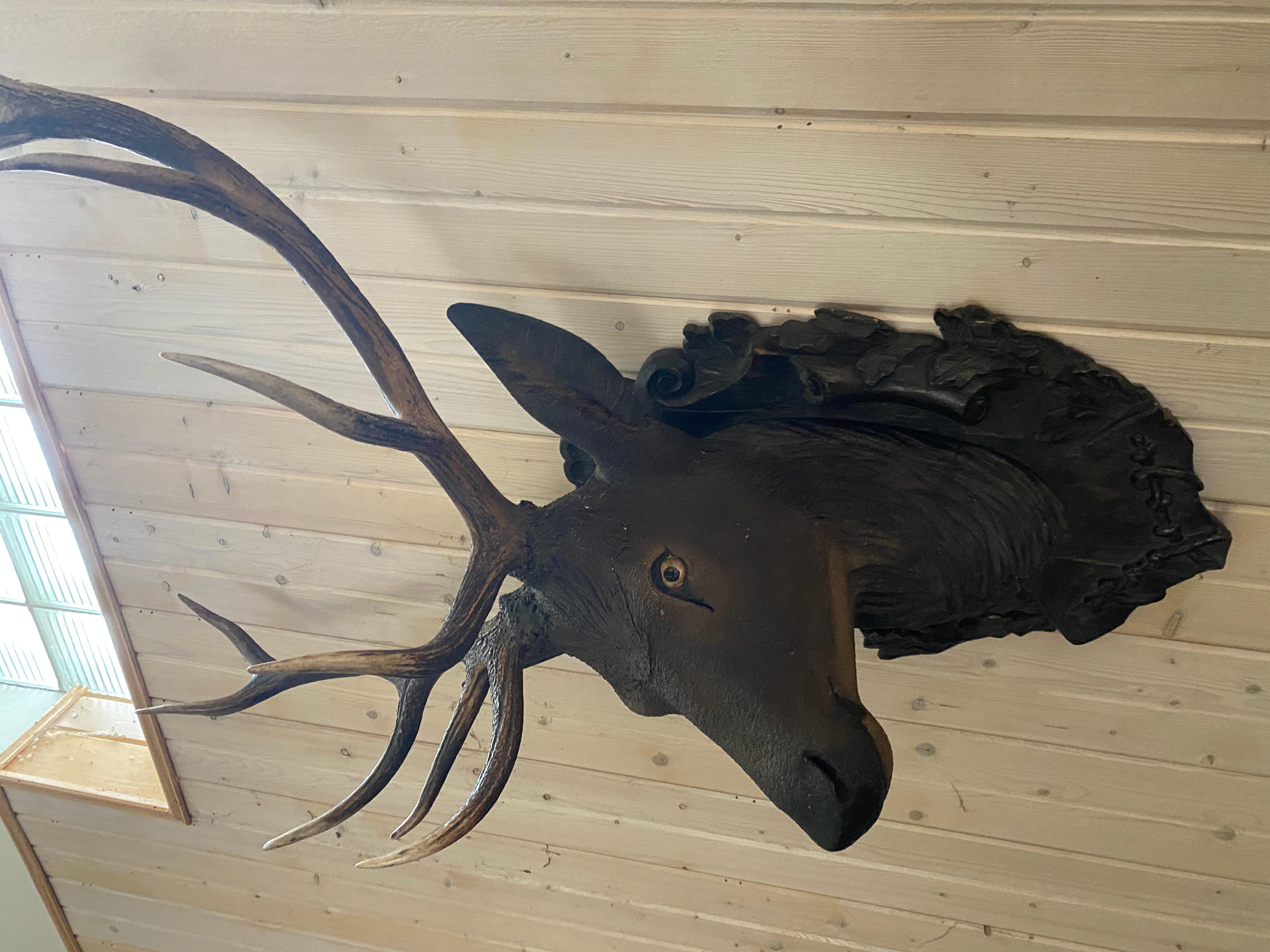 19th Century Stately Carved Wood Black Forest Deer Head with Real Antler Mounts, Great Scale