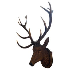Stately Carved Wood Black Forest Deer Head with Real Antler Mounts, Great Scale