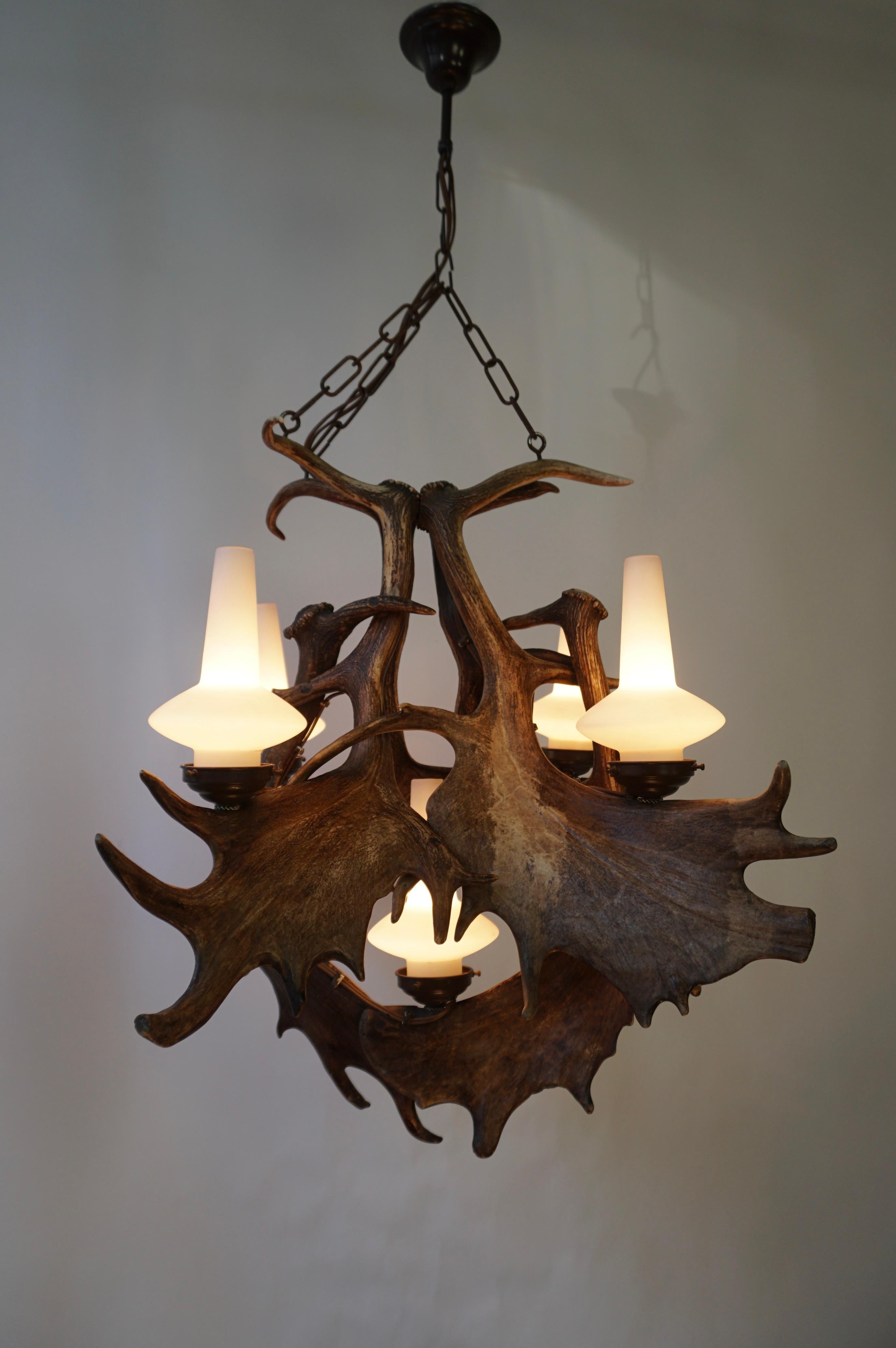 Chandelier made of antlers (HG 222-E). The chandelier is made of deer antler with opaline glass shades.

Antique Rustic Deer Antler Chandelier was cleverly hand-crafted from antlers found in the forest shed naturally from male deer after the rut