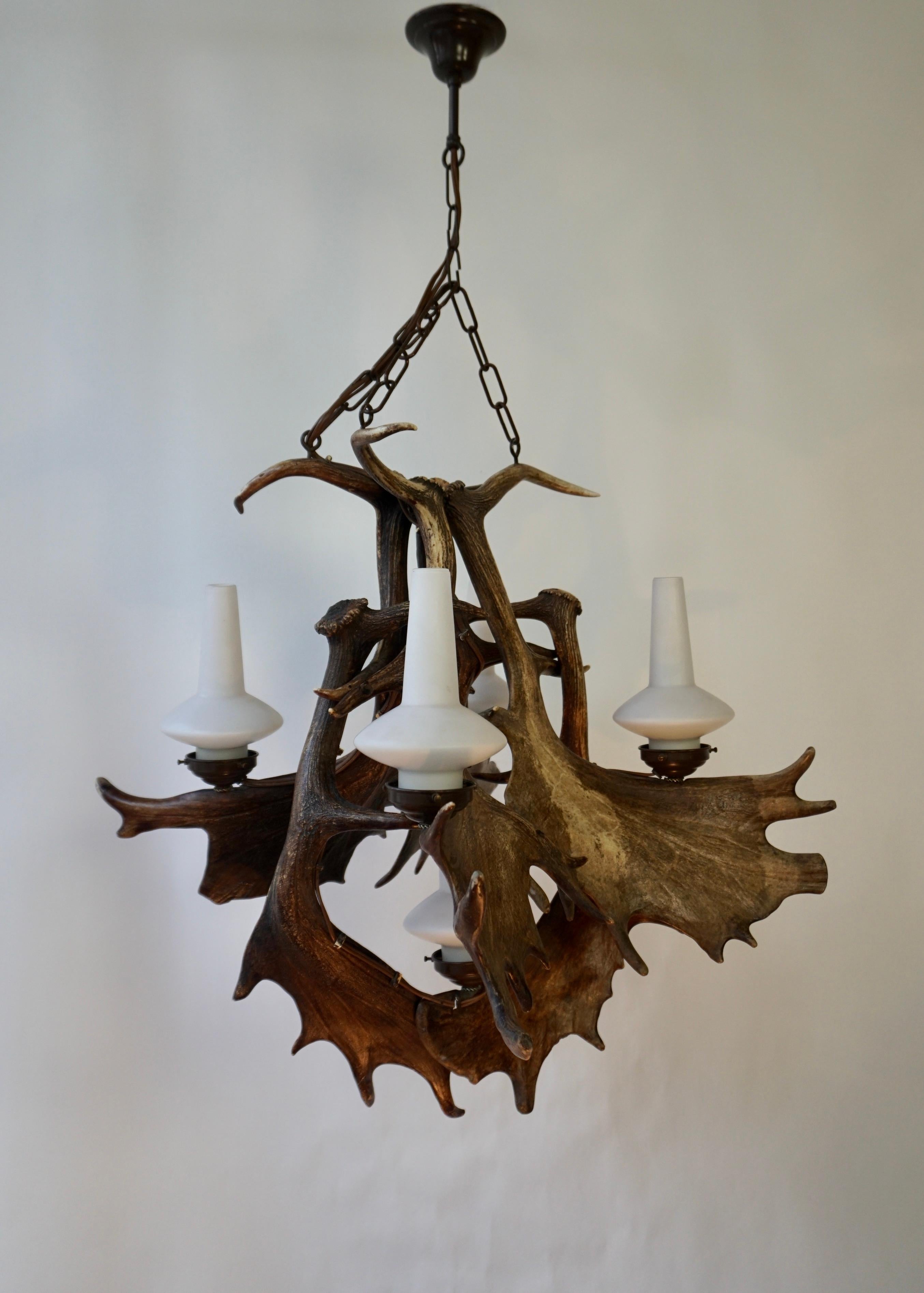 French Stately Fallow Deer Antler Five Light Chandelier, Great Scale and Patina For Sale
