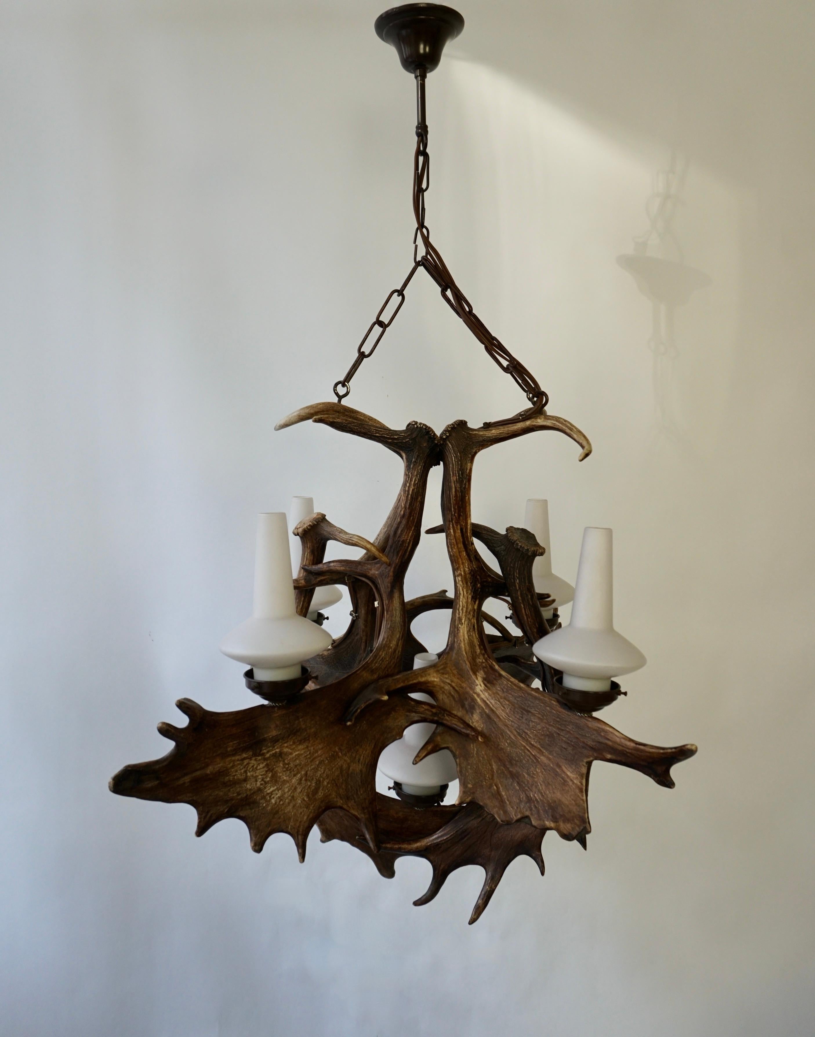 Metal Stately Fallow Deer Antler Five Light Chandelier, Great Scale and Patina For Sale