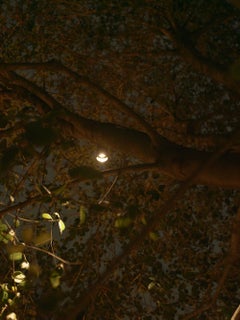 Steel and Brass Outdoor Pendulum Down Light by ORCA