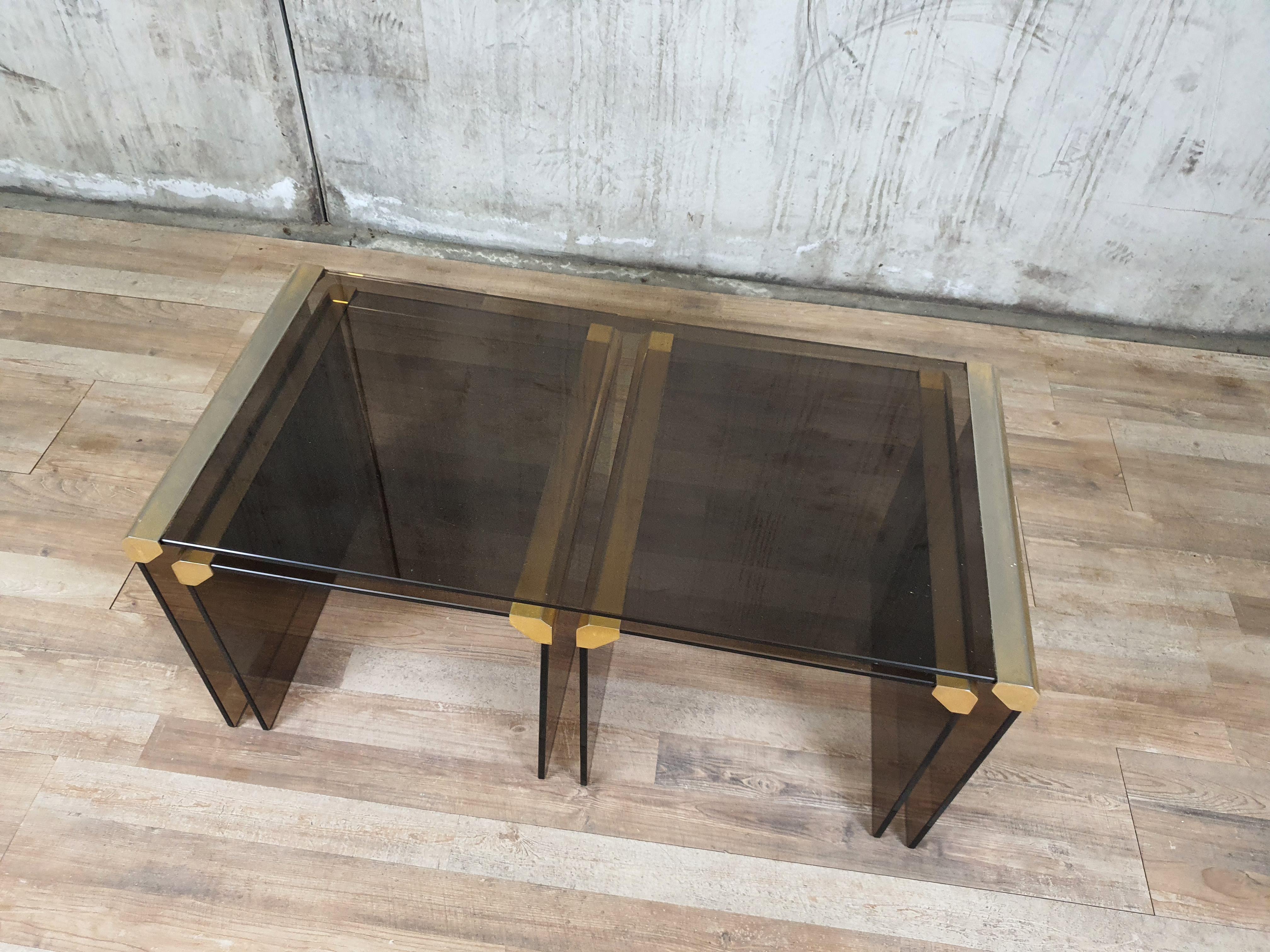 Mid-Century Modern Steel and Smoked Glass Coffee Tables by P. Gallotti for Gallotti & Radice For Sale