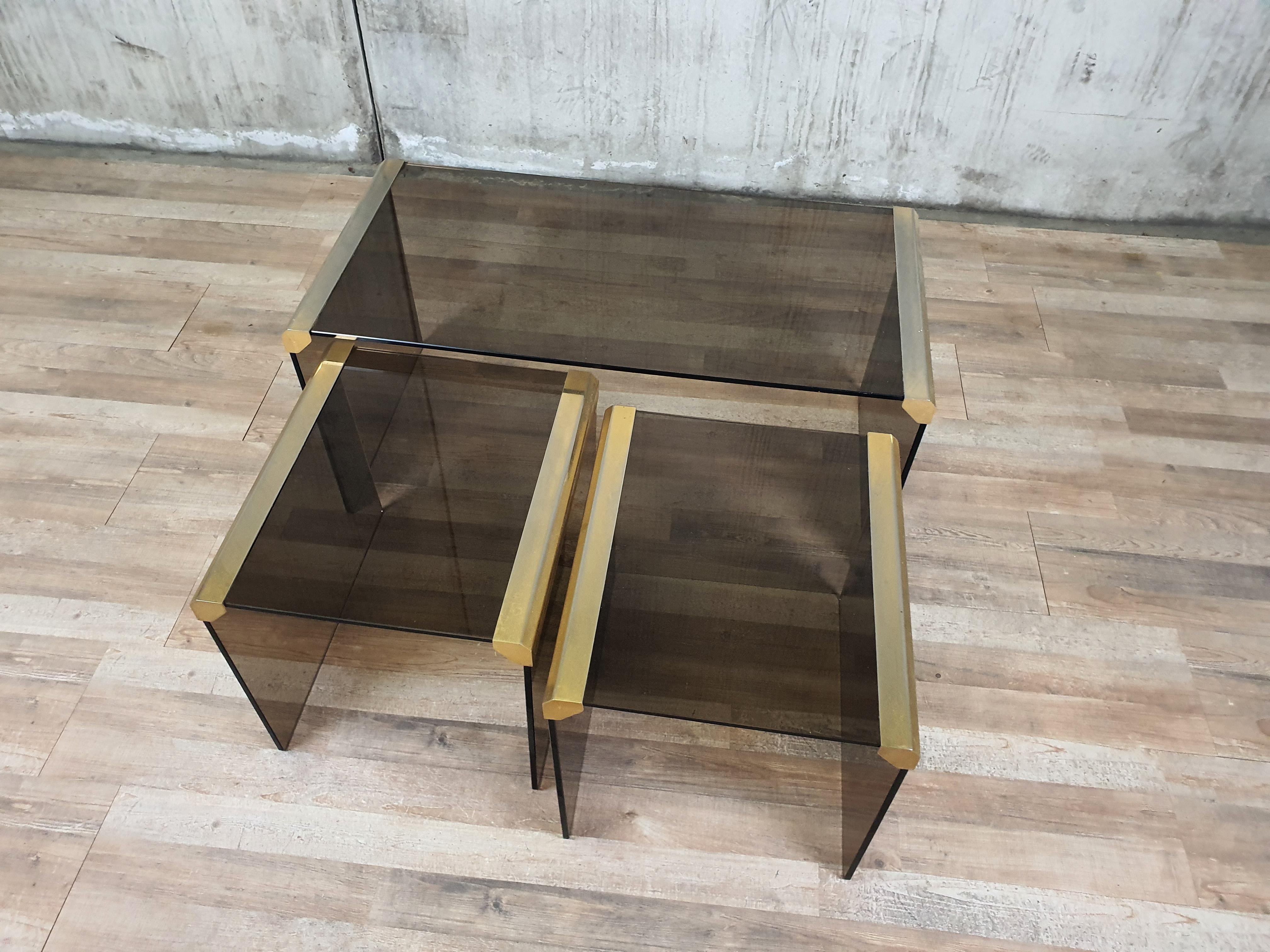 Steel and Smoked Glass Coffee Tables by P. Gallotti for Gallotti & Radice In Good Condition For Sale In Premariacco, IT