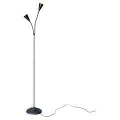 Steel Gooseneck Dual Shade Floor Lamp Mid-Century Modern 1970s