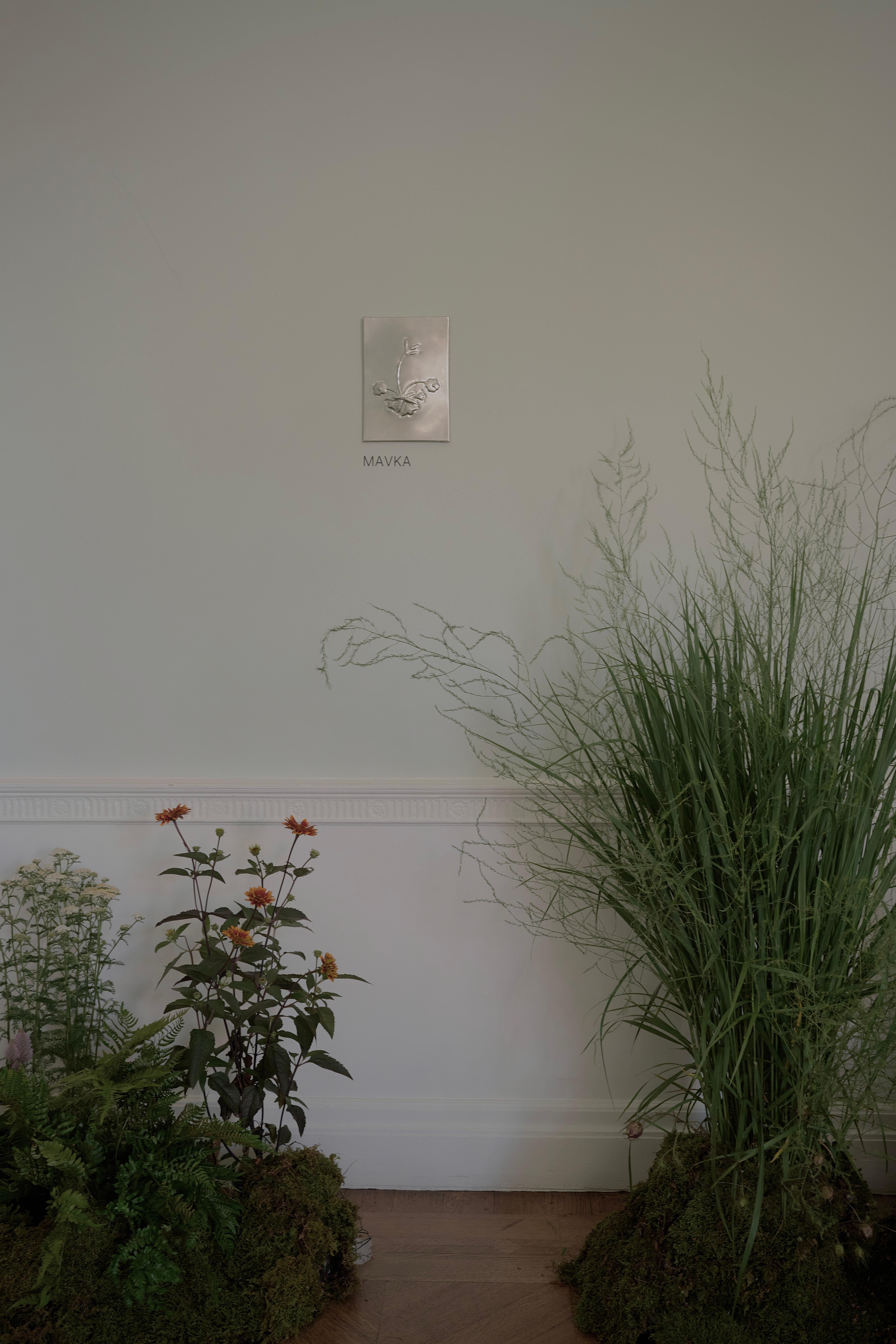 Ukrainien Steel Panel 