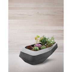 Steen Large Black Stone Planter by Indigenus