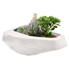 Jardinera mediana de piedra blanca Steen de Indigenus