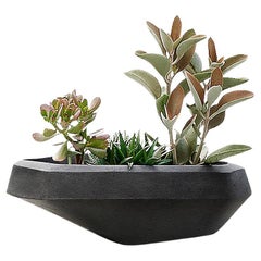 Fioriera Steens Small Black Stone di Indigenus