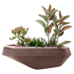 Fioriera Steens Small Brown Stone di Indigenus