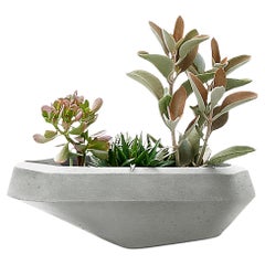 Fioriera Steens Small Grey Stone di Indigenus