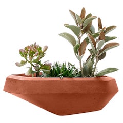 Macetero pequeño de terracota Steen de Indigenus