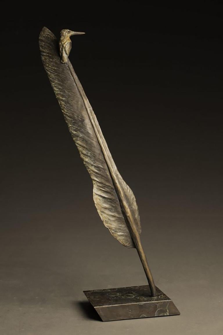 Stefan Savides Still-Life Sculpture - African Extremes