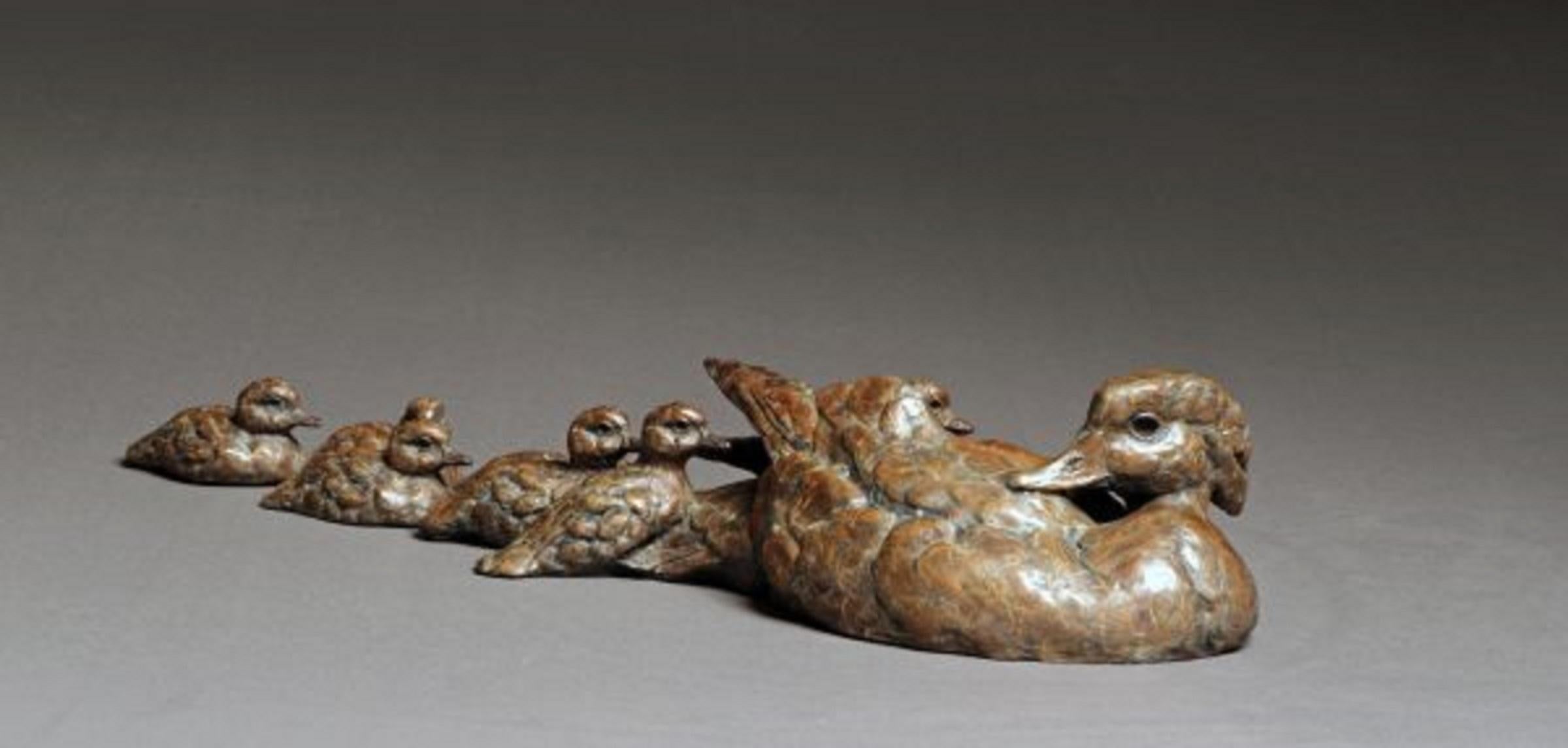 Les canards dans une rangée
