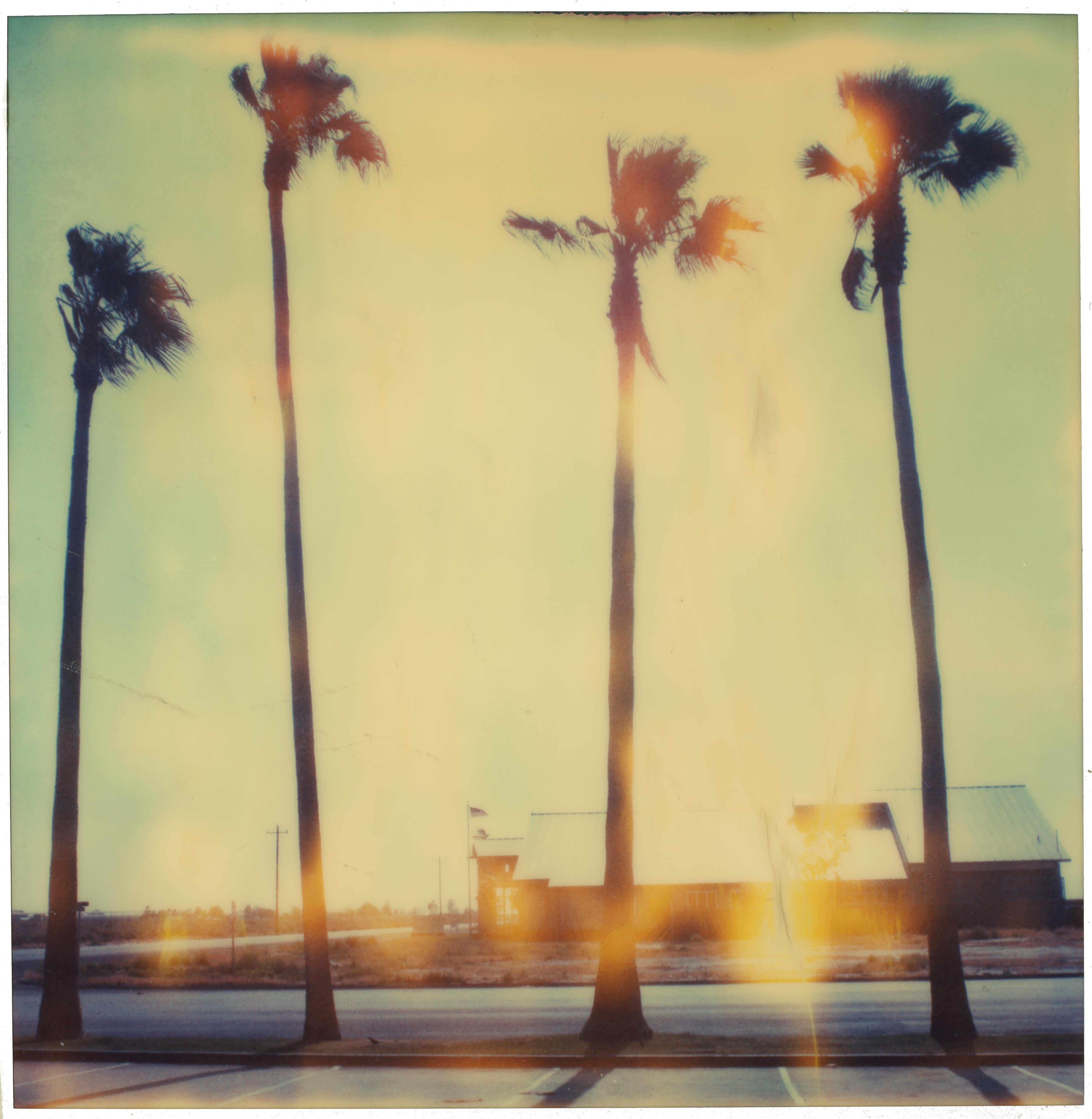 Stefanie Schneider Landscape Photograph - Palm Tree Restaurant (analog) 58x56cm - Edition 8/10, not mounted - Polaroid