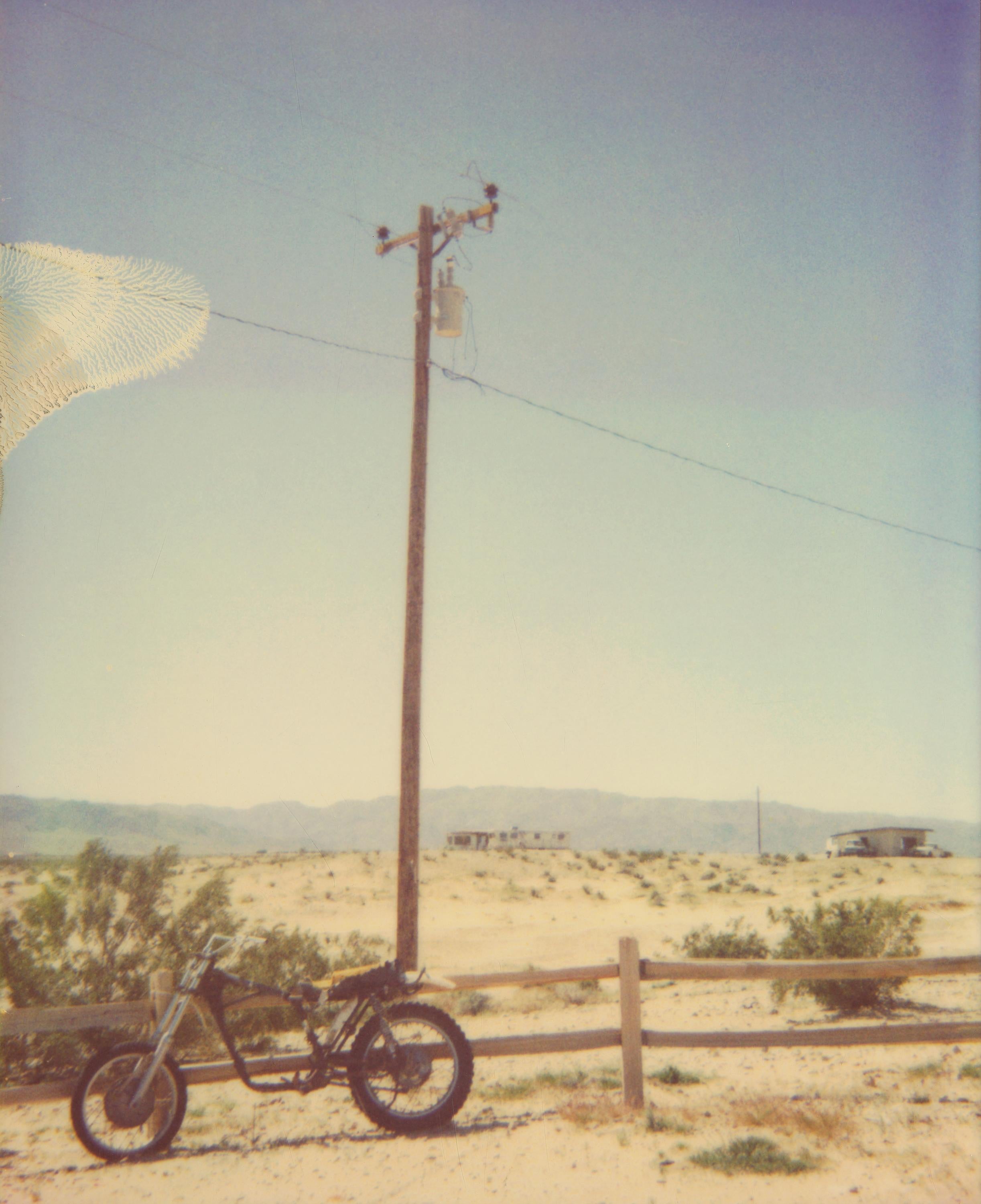 Stefanie Schneider Color Photograph - Wonder Valley (Sidewinder) - Polaroid, 21st Century, Contemporary