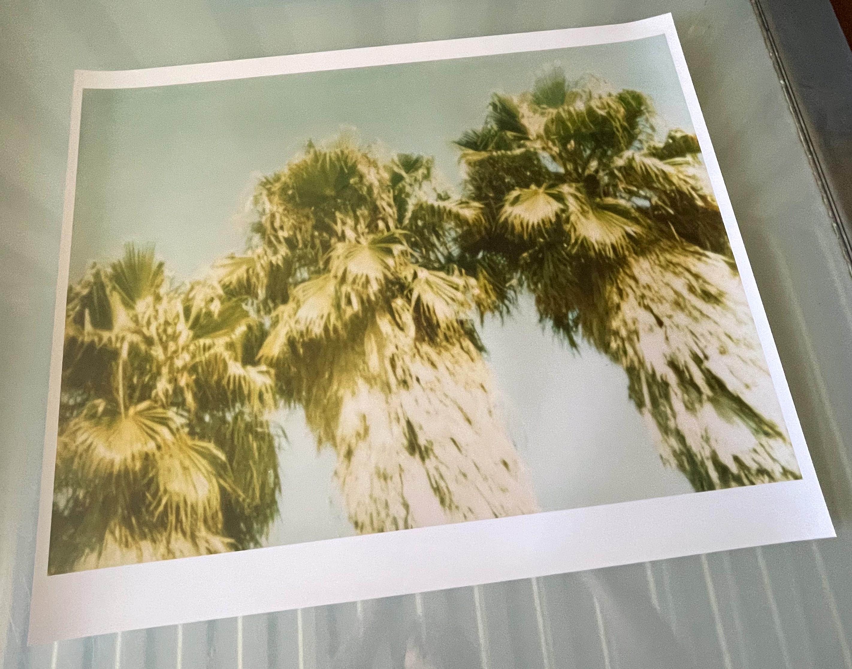 Palm Trees Dive by (Stranger than Paradise) - analog - Photograph by Stefanie Schneider