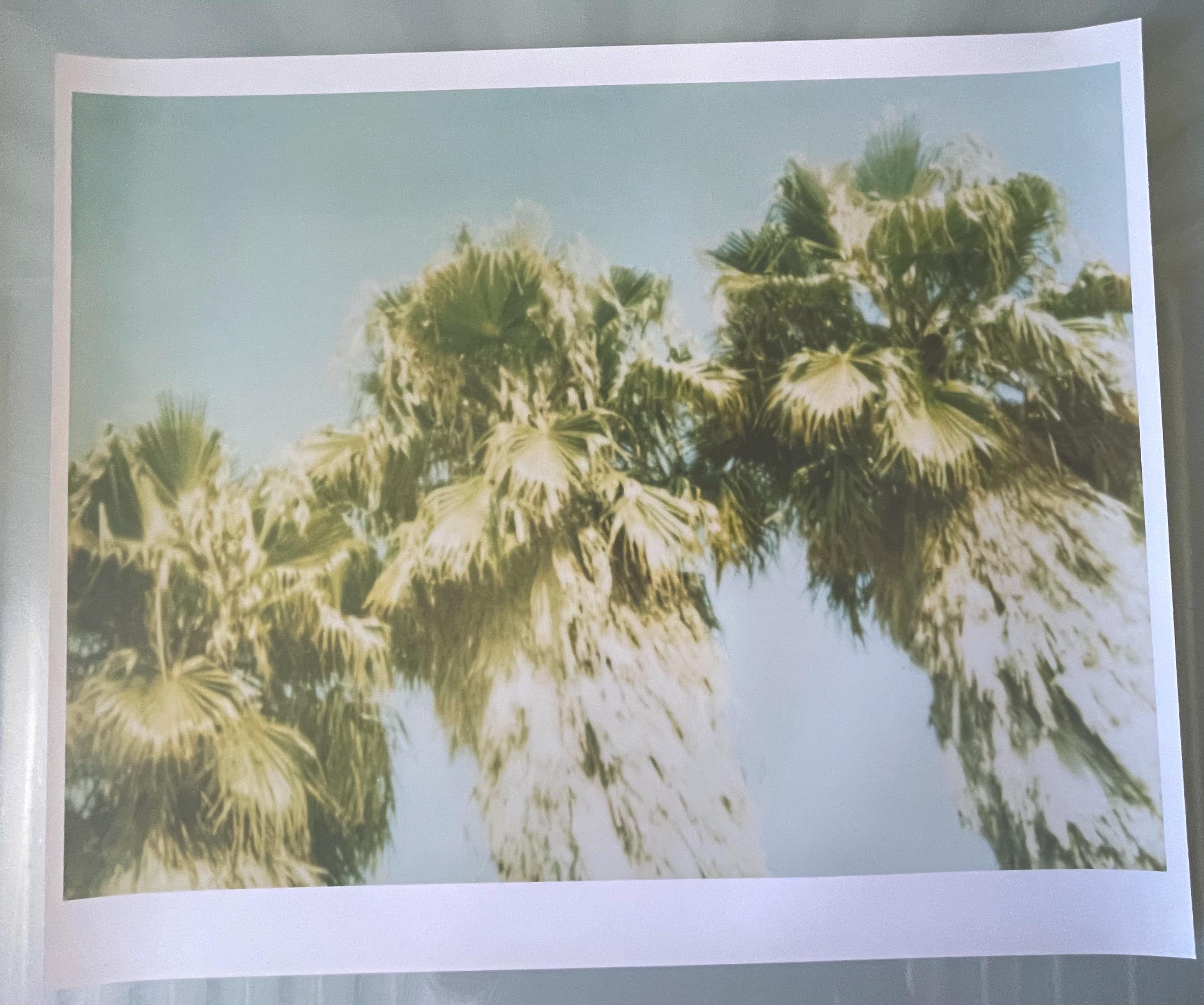 Palm Trees Dive by (Stranger than Paradise) - analog - Outsider Art Photograph by Stefanie Schneider