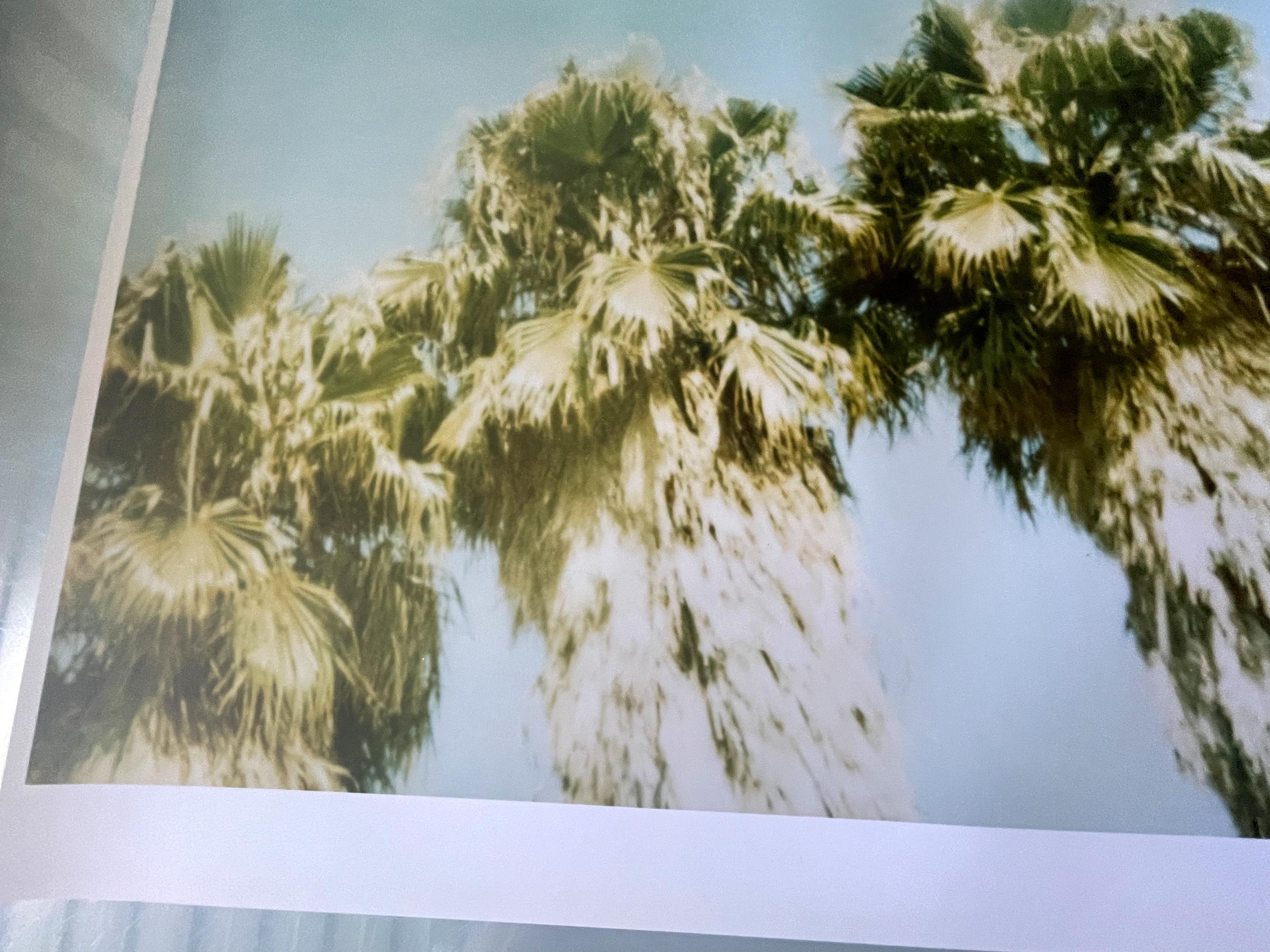 Palm Trees Dive by (Stranger than Paradise) - 1999

44x59cm, 
Edition 2/10.  
Analog C-Print, hand-printed by the artist, based on the Polaroid.  
Certificate and Signature label. 
Artist Inventory No. 498.02.  
Not mounted. 

Stefanie Schneider's