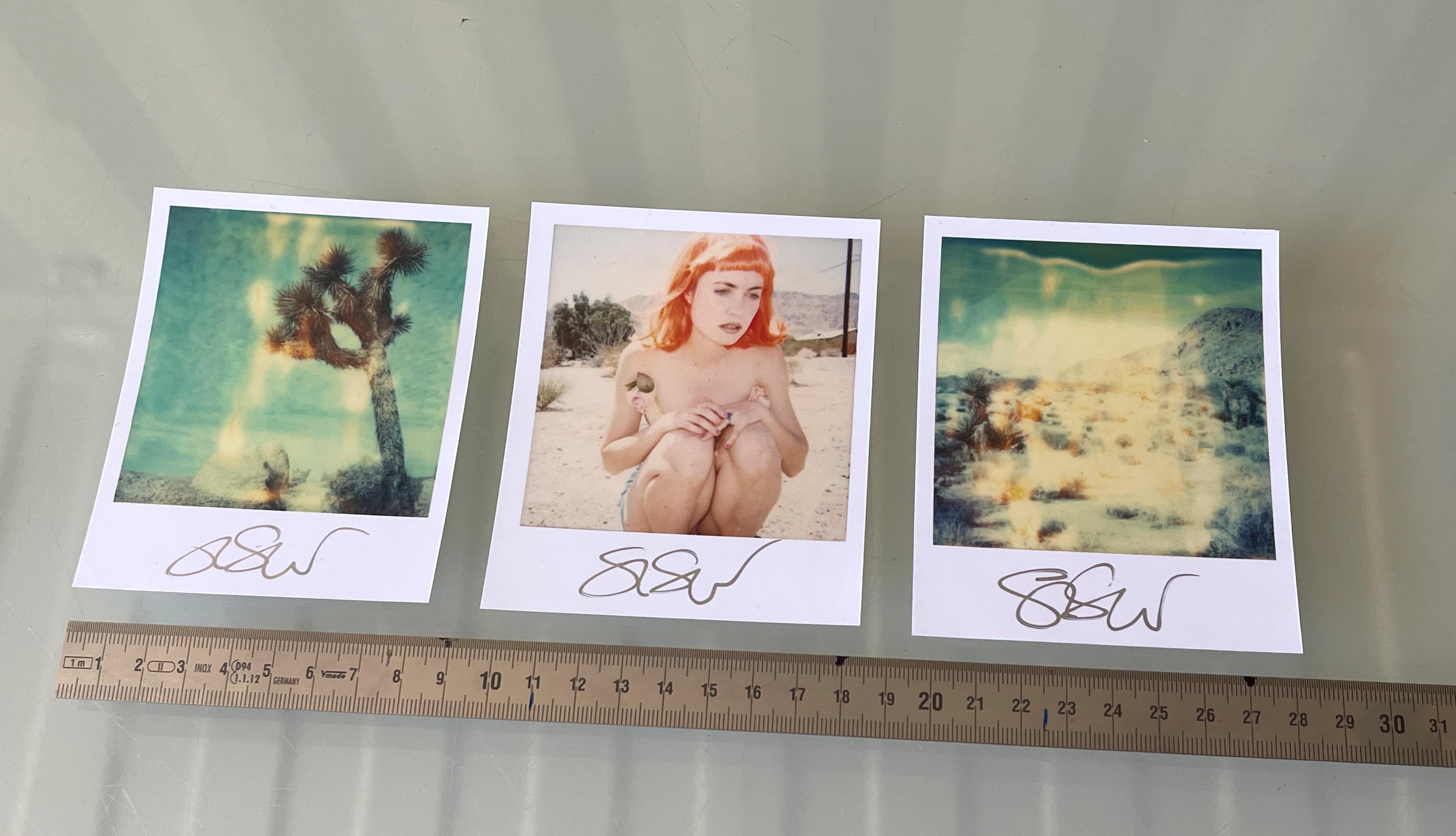 3 Stefanie Schneider Polaroid sized unlimited Minis 'Radha Mind Screen' - signed For Sale 9