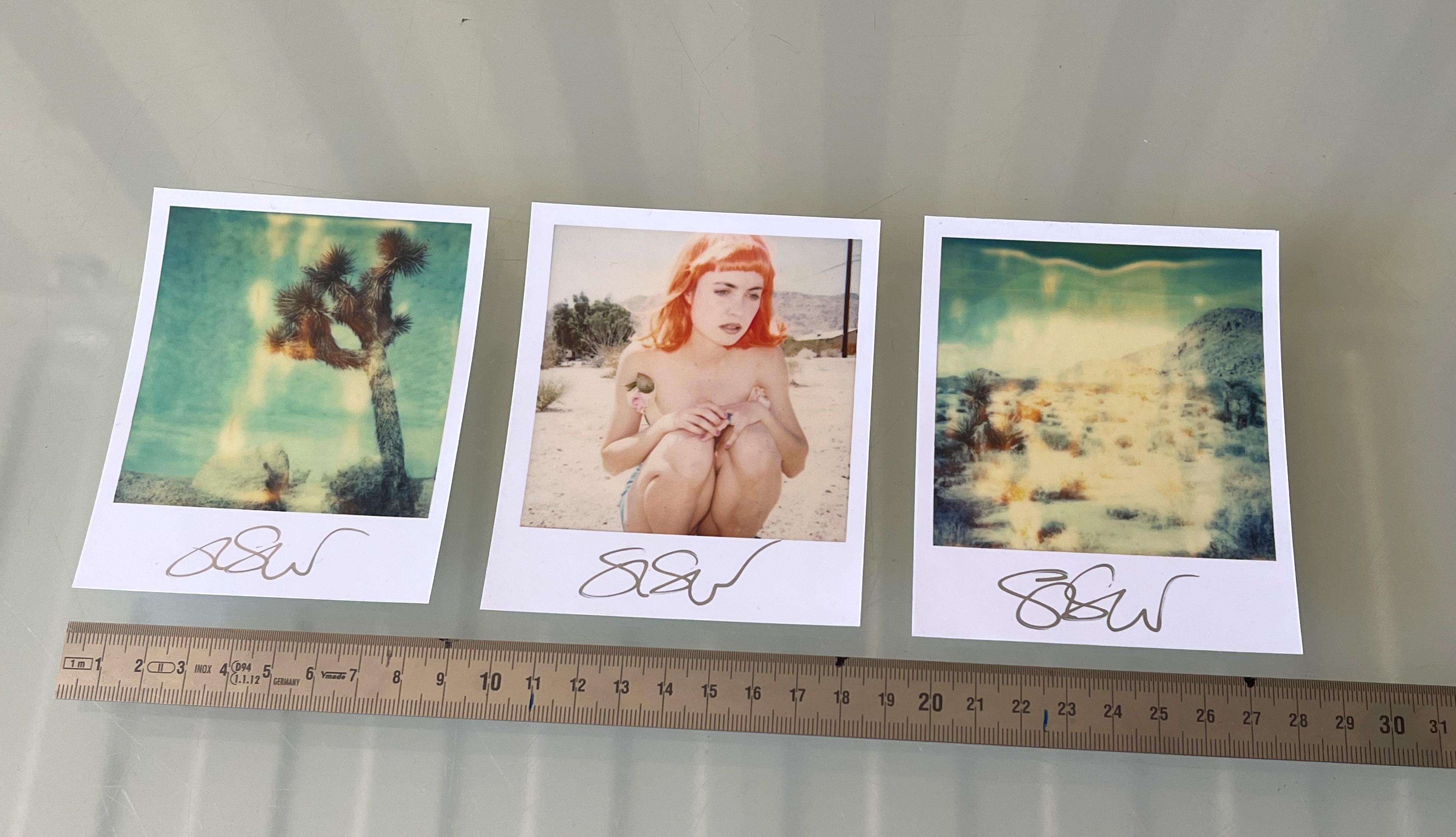 3 Polaroid di Stefanie Schneider di dimensioni illimitate 