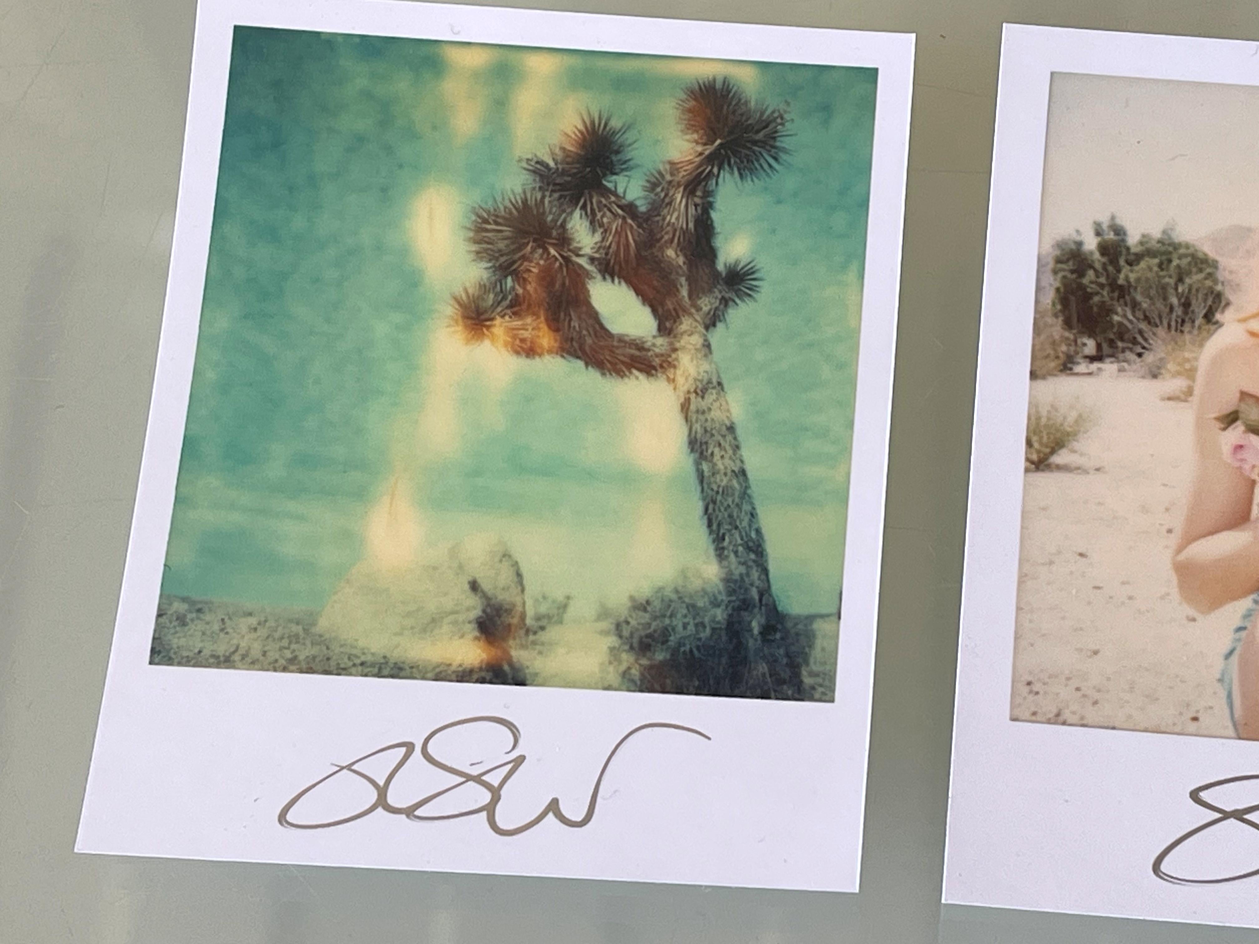 3 Stefanie Schneider Polaroid-Minis in Unbegrenzbarer Größe 'Radha Mind Screen' - signiert im Angebot 1